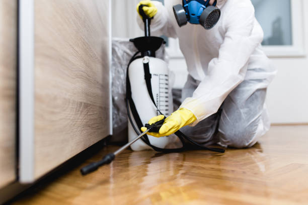 Best Emergency Pest Control  in Gleneagle, CO