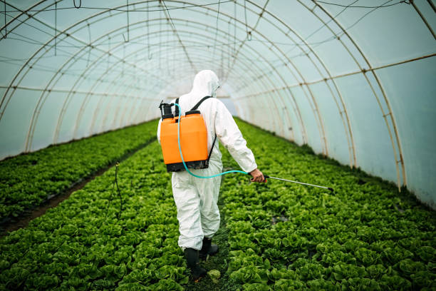 Best Pest Removal Services  in Gleneagle, CO