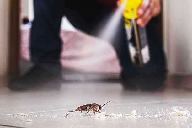 Best Pest Prevention Services  in Gleneagle, CO