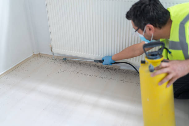Best Affordable Exterminators  in Gleneagle, CO